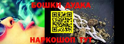 МДПВ Дубна