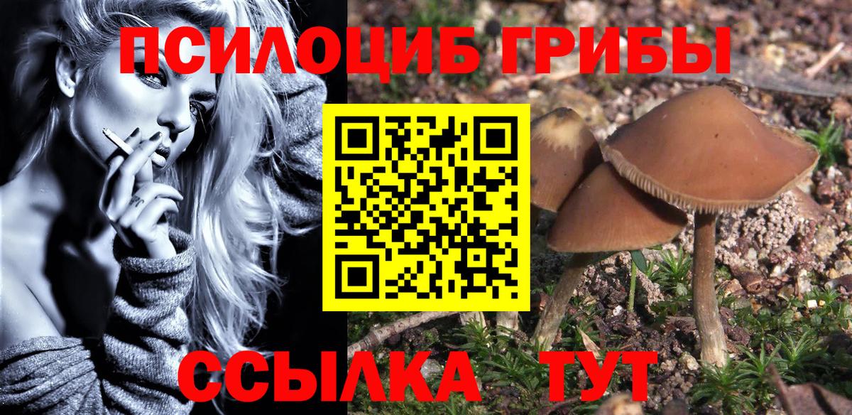 Псилоцибиновые грибы GOLDEN TEACHER Кулебаки