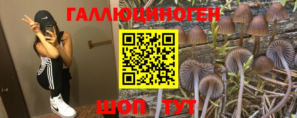 Кулебаки  Псилоцибиновые грибы мухоморы  Псилоцибиновые грибы ЛСД  Вход с VPN 